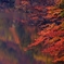 深紅の十二湖
