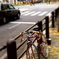 落ち葉の舗道