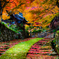 湖東三山 百済寺の紅葉