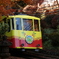 山頂へ