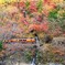 小さな鉄橋