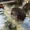 foot spa