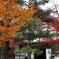 紅葉