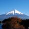 晩秋の富士山