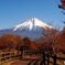 晩秋の富士山