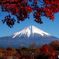 晩秋の富士山