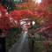 紅葉