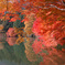 山梨の紅葉