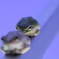 背後に殺気2