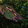 _DSC0861_DxO
