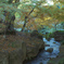 『紅葉』徳川園