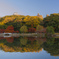 『紅葉』徳川園