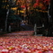 紅葉谷への入口