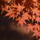 もみじ