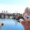 Xmas Disney Sea 2017