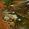 清滝川沿いの旅館１