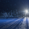 雪の精霊