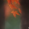 間ーⅡ
