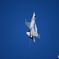 2017 新田原エアフェスタ予行 F-16