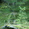 DSC04179