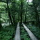 DSC04195
