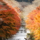 紅葉と桜の競演