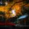 小國神社　紅葉