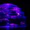 349EC981-7731-4742-B030-0E72E895CF9E