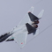 2017岐阜航空祭 はじめての戦闘機