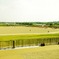 photo_733404