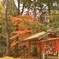 松平郷
