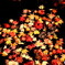 宝福寺　井戸の中の紅葉