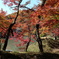 竹田 用作公園