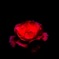 薔薇