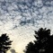 高積雲-隙間雲