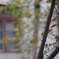窓枠