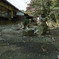 龍門寺裏庭（2）