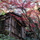 廃屋