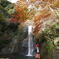 箕面の滝の紅葉