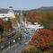 国道173号線、一の鳥居交差点の紅葉