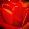 IMG_5694-Edit