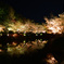 夜の東寺