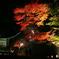 夜のデート
