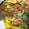 紅葉と黄葉