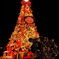 ケープコッドのクリスマスツリー