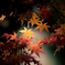 autumn wind