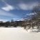 中島公園の雪景色