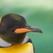 天王寺動物園①