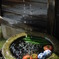 夏野菜の水浴び