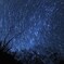 逢えない夜には星を数えて